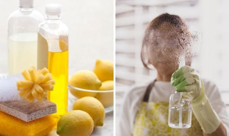 natural ingredients and woman sprucing up a glass door in a single frame