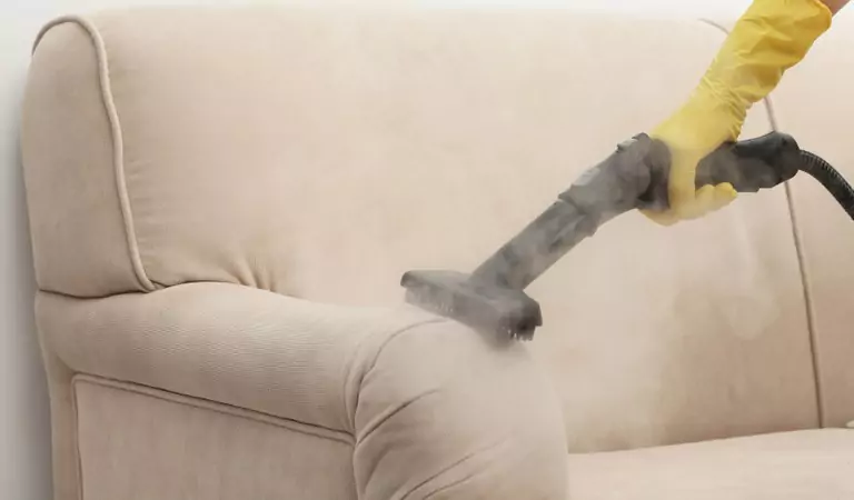 cropped picture of a person cleaning a couch